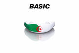 BASIC Algérie