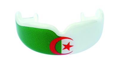 V1 Algérie